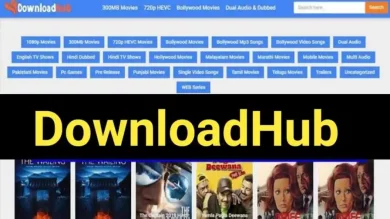 Downloadhub
